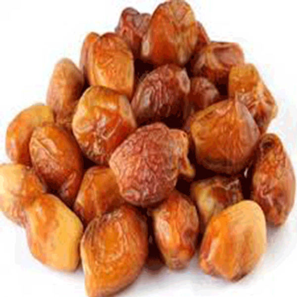 Fresh Date 5 - Fresh-Date-5