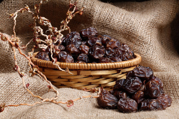 Where to buy Iranian dates