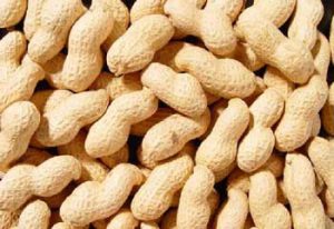 iranain peanut 300x206 - Iranian Nuts - Smart Tips You Need To Know About Best Iranian Nuts