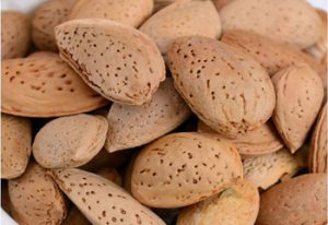 badam 300x206 - The Best Iranian Almonds