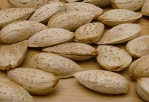 badam irani 300x206 - The Best Iranian Almonds