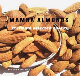 Mamra badam(almond) benefits for brain