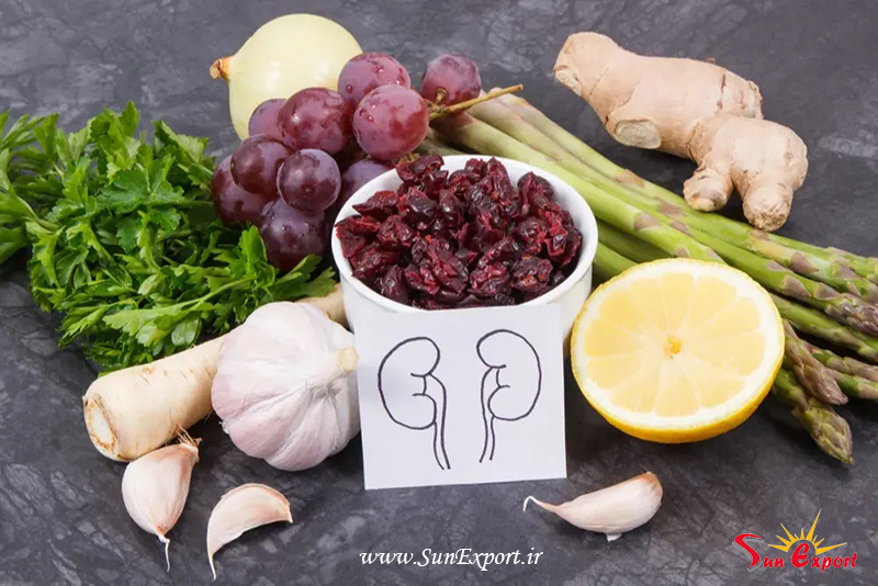 Kidney - 10 Best Fruits and vegetables To Keep Your Kidneys Healthy