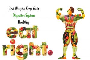 Digestive system 1 300x200 - The 8 Superfoods to Improve Digestion