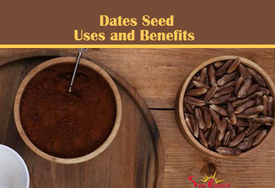 Date seed benefits and uses